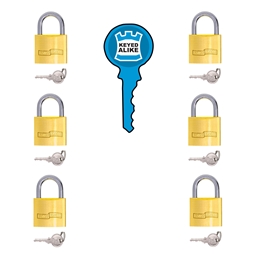 P1K50 - Brass Keyed Alike Padlock | Eureka DIY Solutions Pty Ltd
